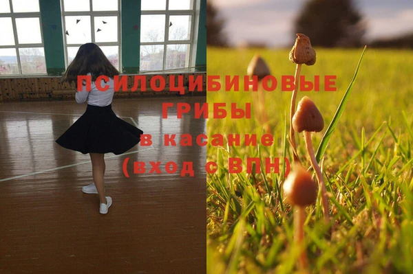 сатива Алексеевка