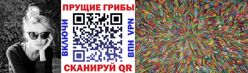 купить наркотик  гидра ССЫЛКА  Псилоцибиновые грибы прущие грибы  Новошахтинск 